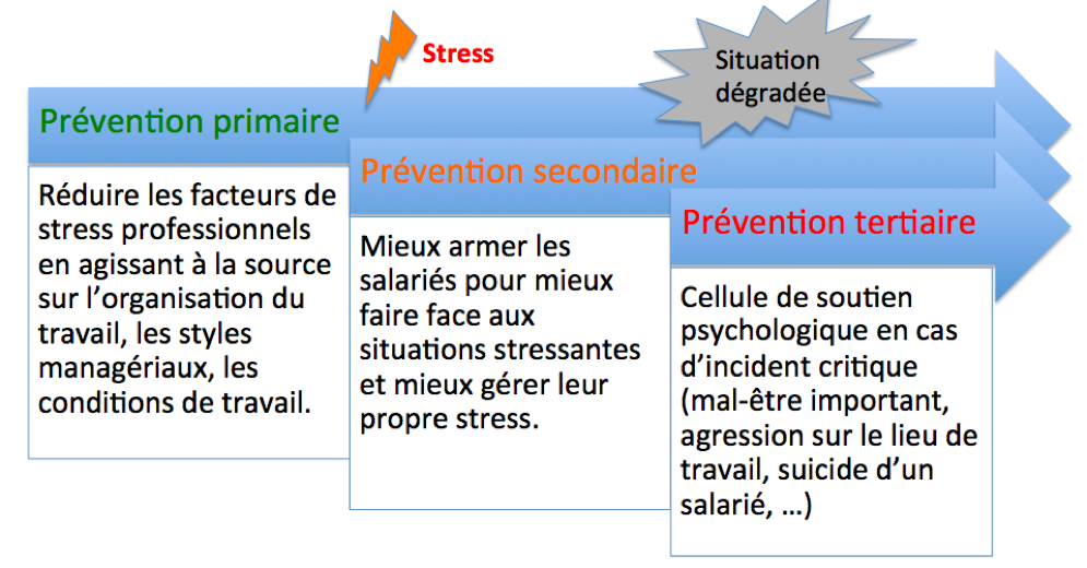 Schema